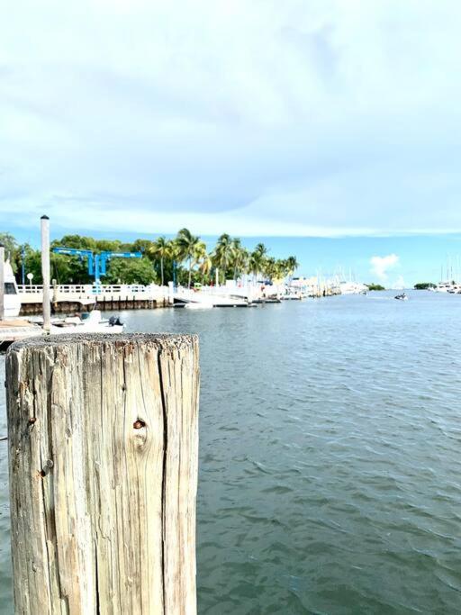 Groveo5 10 Minutes From Miami Beach Εξωτερικό φωτογραφία